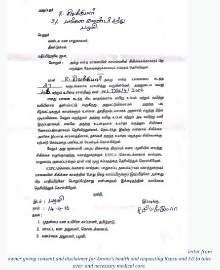 Ammu - Owner's Request Letter for treatment