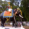 யானைகளும் கோவில்களும் ஆன்மிகப் பாரம்பரியமும் – 13