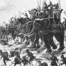 யானைகளும் கோவில்களும் ஆன்மிகப் பாரம்பரியமும் – 14