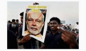Chennai protests - Jallikattu-10