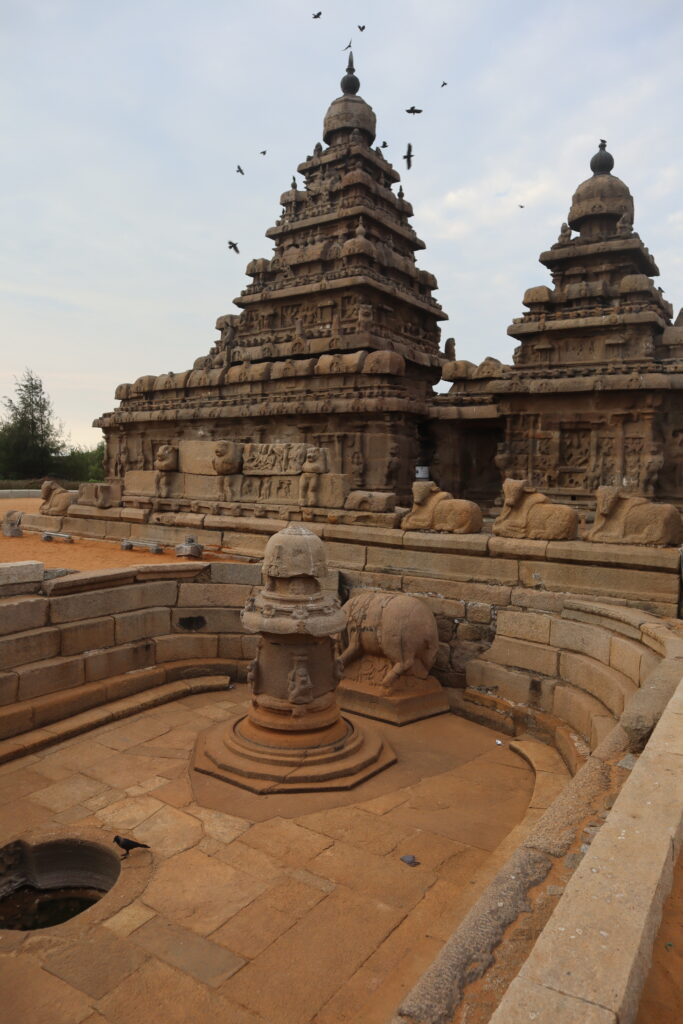 கொரனாவின்பின்னான பயணம்