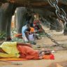 யானைகளும் கோவில்களும் ஆன்மீகப் பாரம்பரியமும் – 6